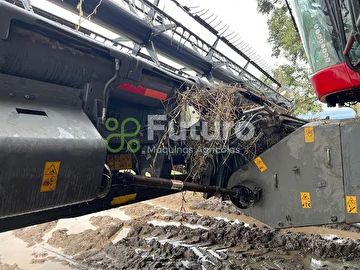 PLATAFORMA MASSEY FERGUSON 35 PÉS ANO 2020