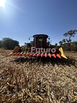 PLATAFORMA VENCE TUDO BOCUDA ANO 2017