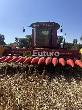 PLATAFORMA VENCE TUDO BOCUDA ANO 2017